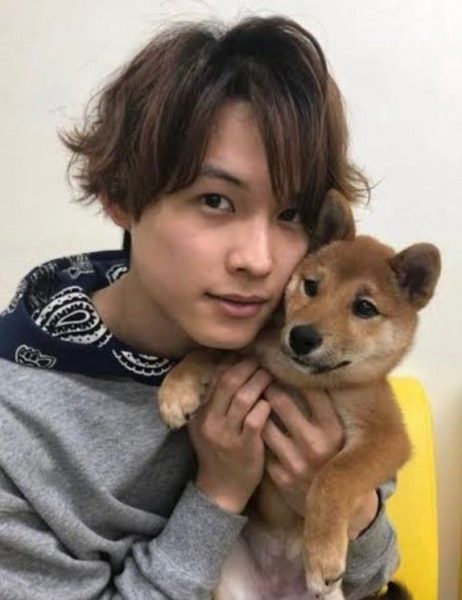 松村北斗の愛犬の名前はルークで年齢は何歳？ペット好きエピソードと好きな動物を紹介！