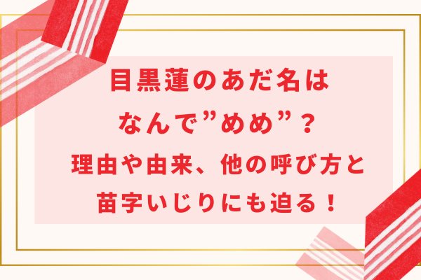 目黒蓮のあだ名はなんで”めめ”？理由や由来、他の呼び方と苗字いじりにも迫る！