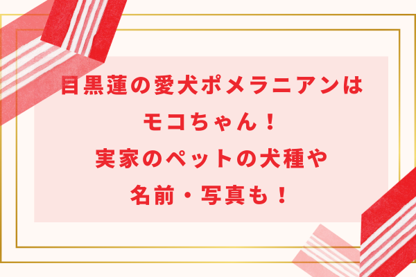 目黒蓮の愛犬ポメラニアンはモコちゃん！実家のペットの犬種や名前・写真も！