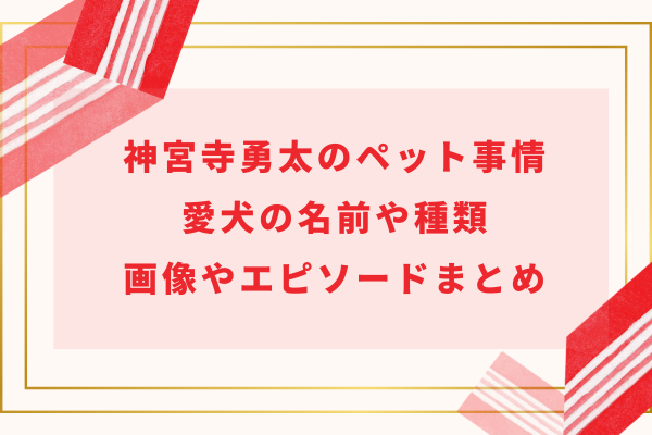 神宮寺勇太のペット事情｜愛犬の名前や種類・画像やエピソードまとめ